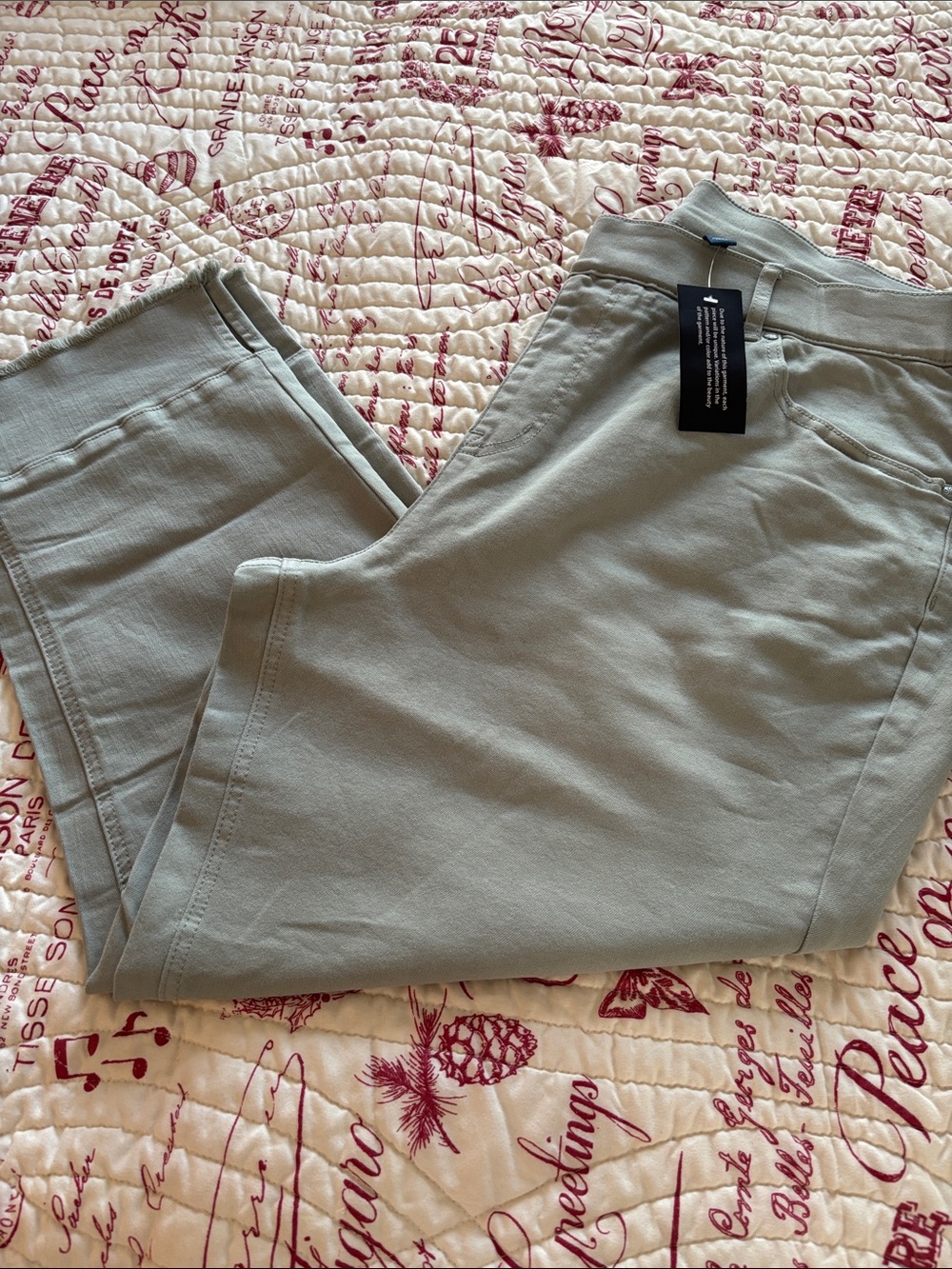 NWT Isaac Mizrahi Straight Leg Cropped Jeans in Light Sage SZ 20W